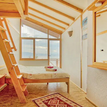 Paradise Nest