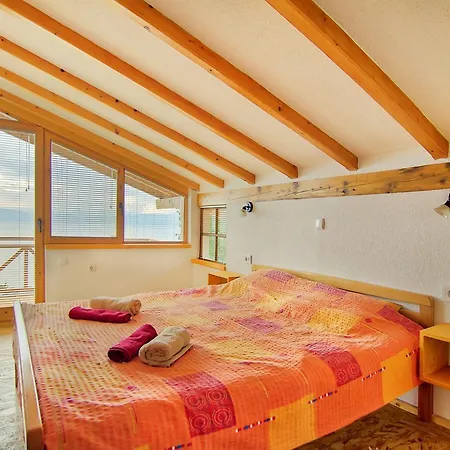 Paradise Nest *